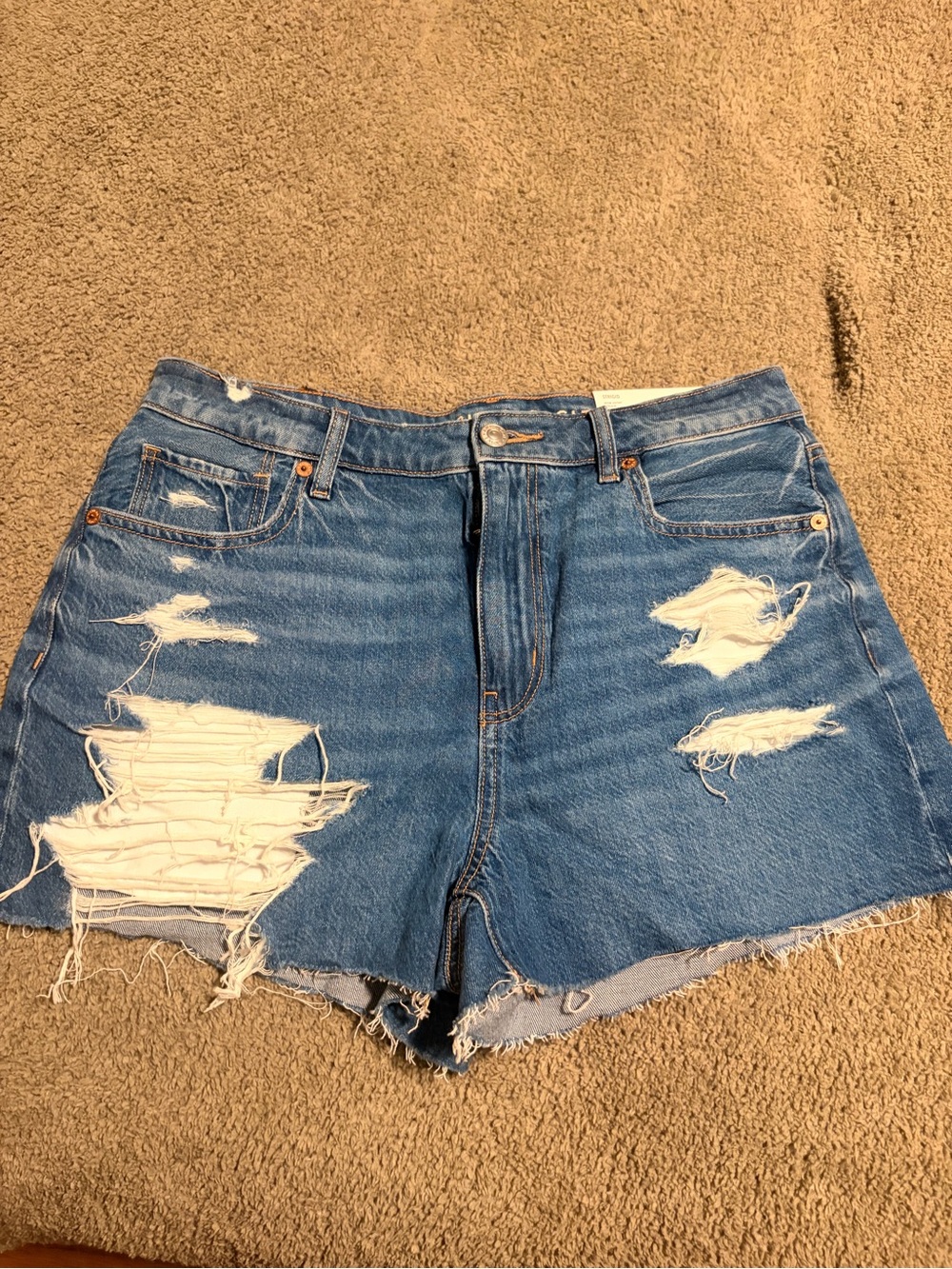 American Eagle Outfitters Distressed Blue Denim Cutoff Shorts